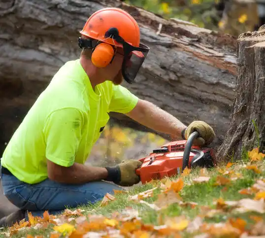 tree services Hesperia